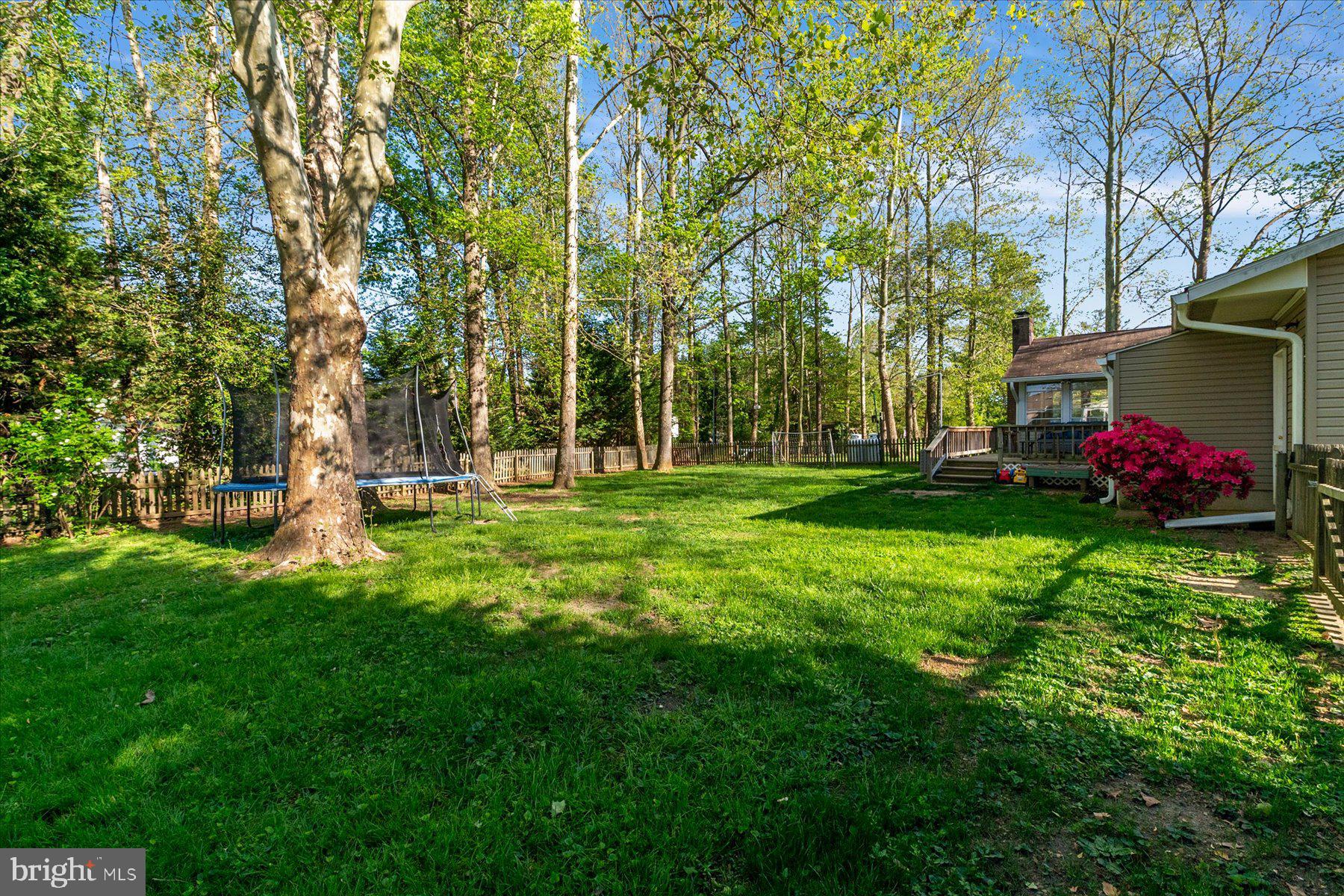 86 Milburn Circle Pasadena, MD 21122 - Photo 47 of 60 a garden view with tall trees