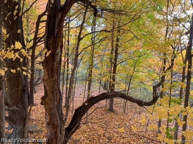 40-acres North Summers Road Imlay City, MI 48444 - Photo 8 of 8 Gallery Image 8