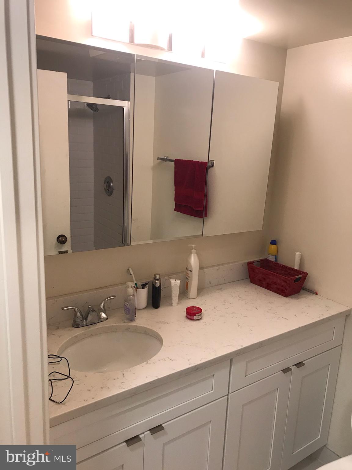 2020 Walnut Street, Unit 21E Philadelphia, PA 19103 - Photo 8 of 19 a bathroom with a sink and a mirror