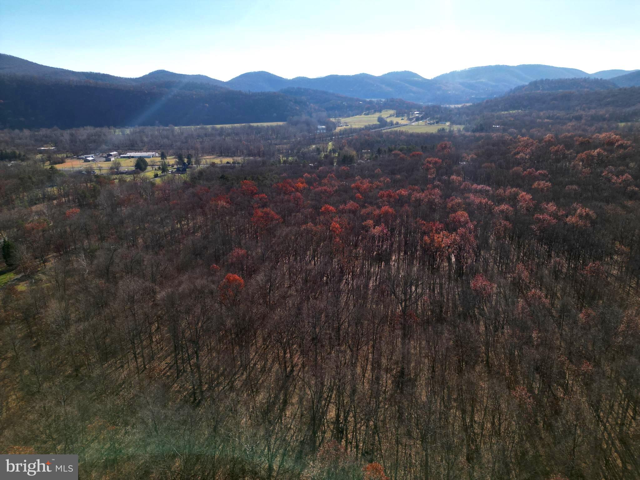 Rocky Ridge Road Rawlings, MD 21557 - Photo 1 of 22 Thick lush acreage waiting for you!