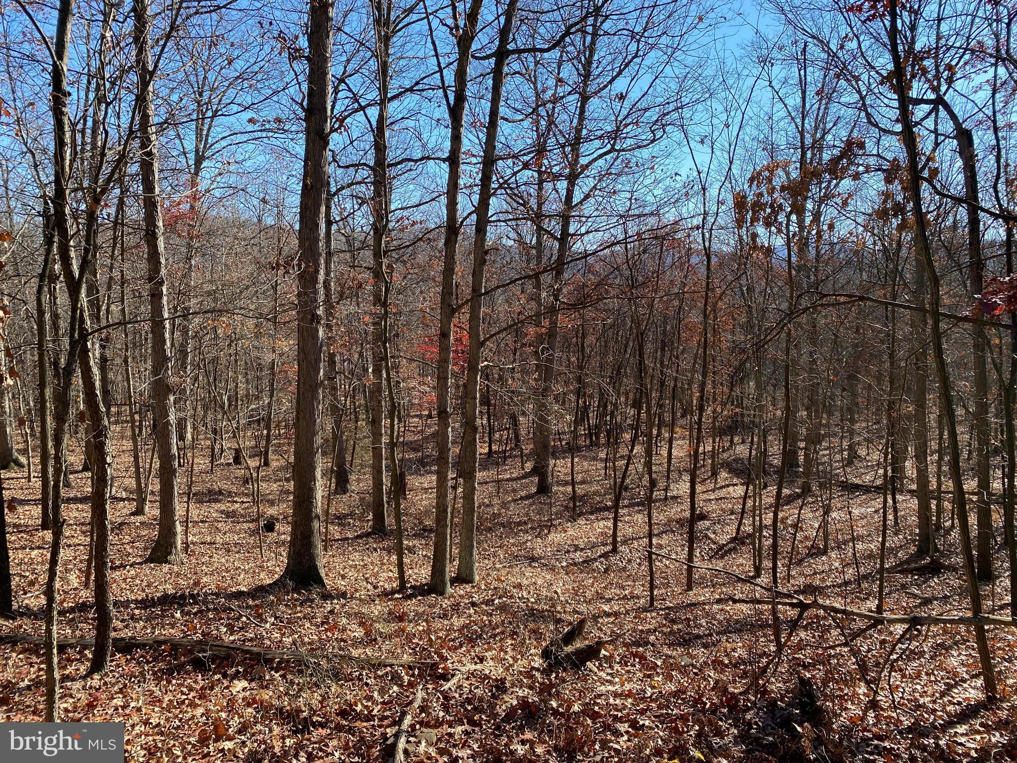 Rocky Ridge Road Rawlings, MD 21557 - Photo 13 of 22 Gallery Image 13