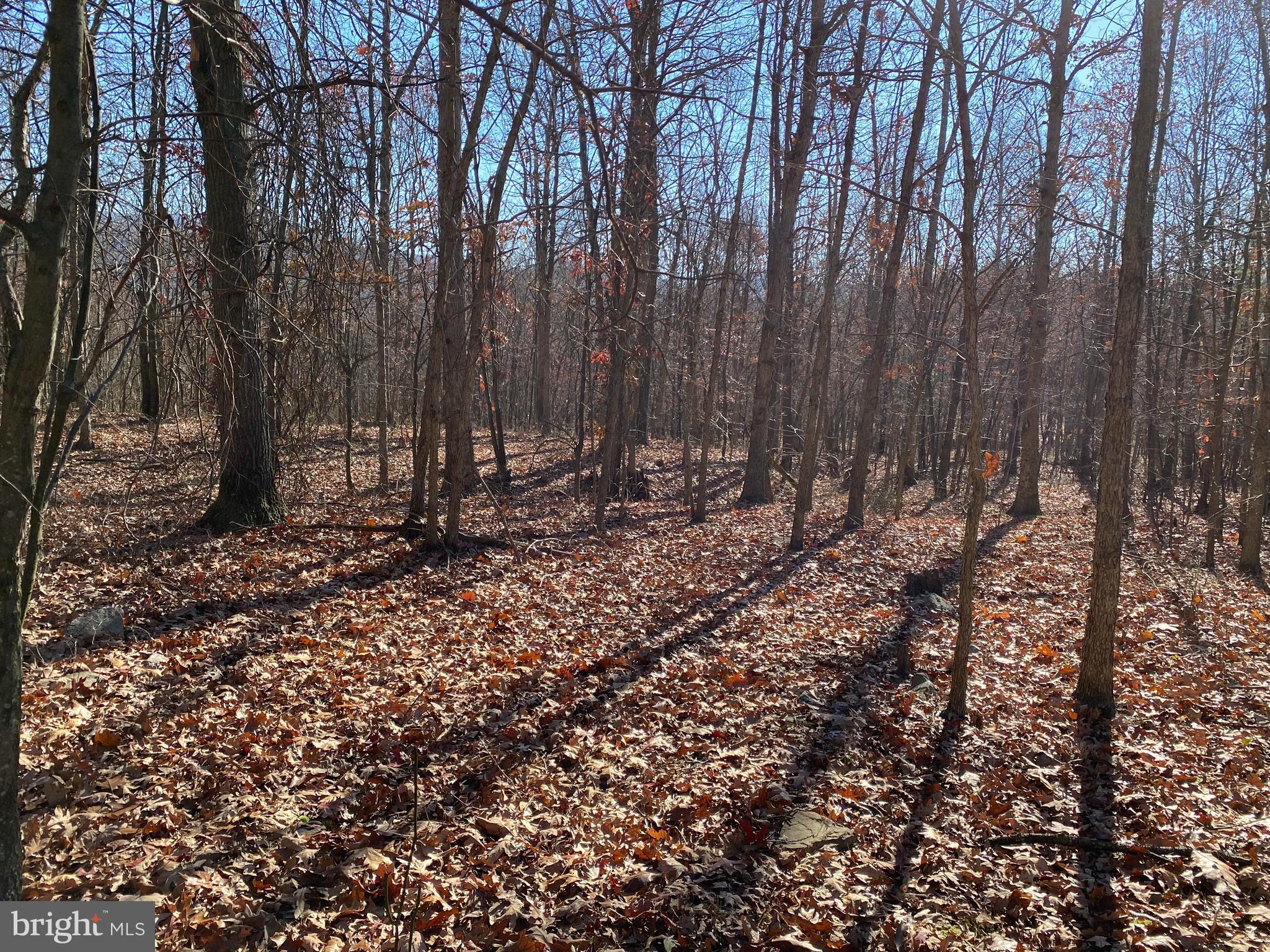 Rocky Ridge Road Rawlings, MD 21557 - Photo 14 of 22 Gallery Image 14
