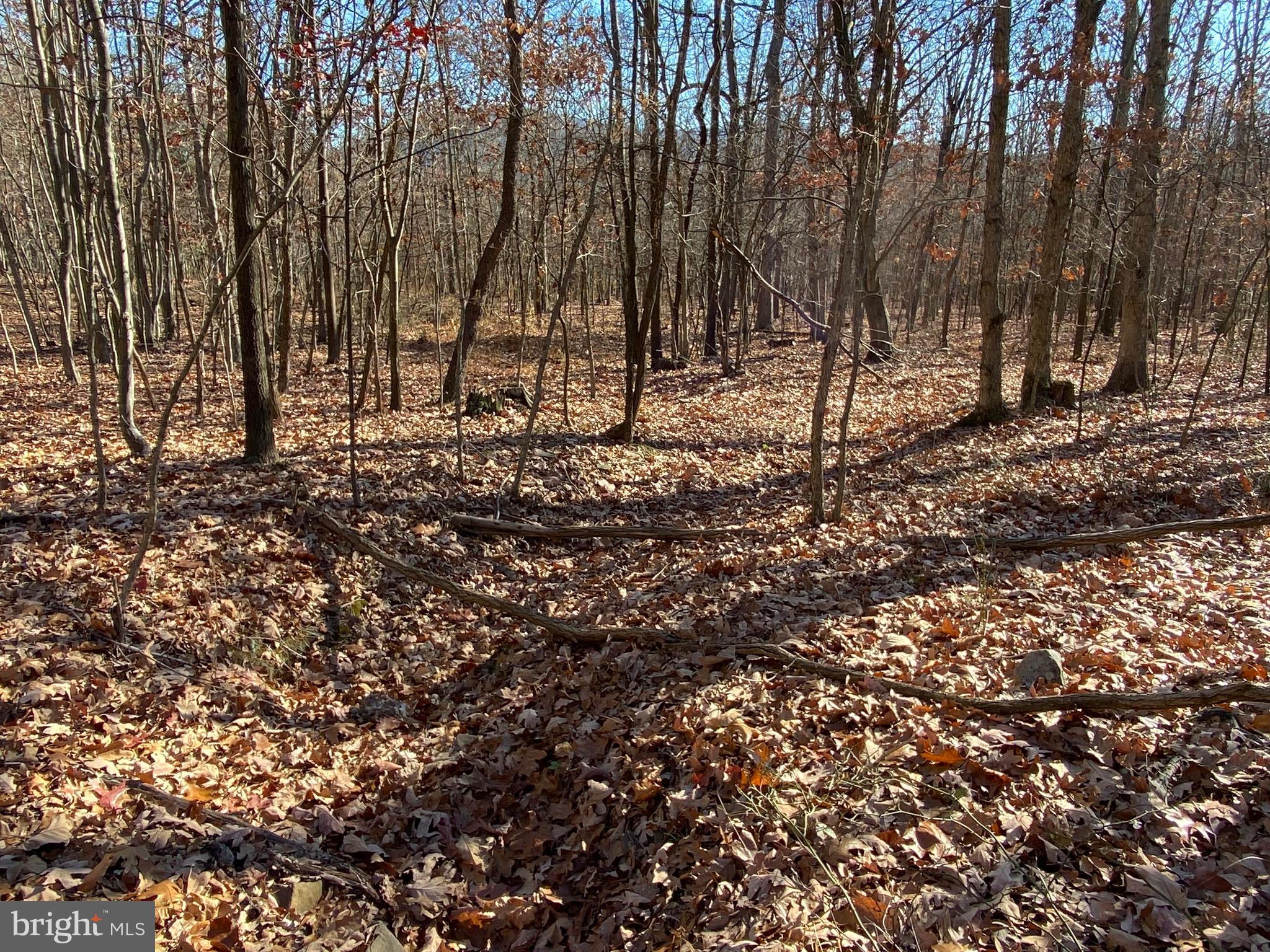 Rocky Ridge Road Rawlings, MD 21557 - Photo 16 of 22 Gallery Image 16