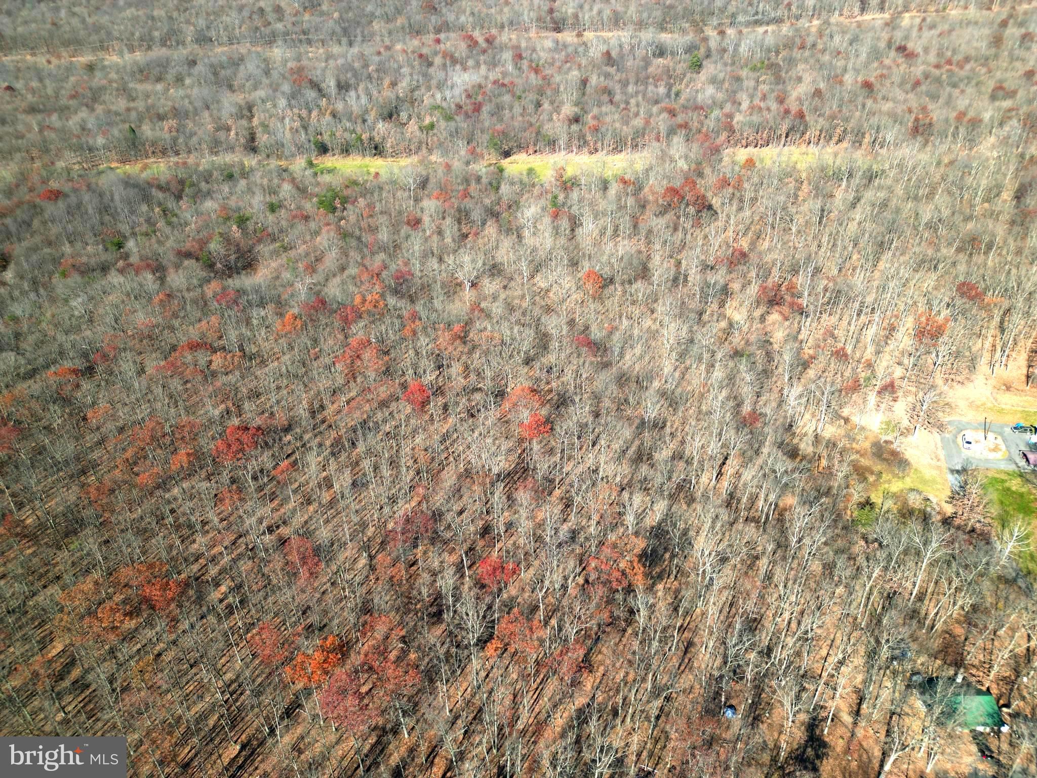 Rocky Ridge Road Rawlings, MD 21557 - Photo 2 of 22 Aerial Photo of 31+/- acres !