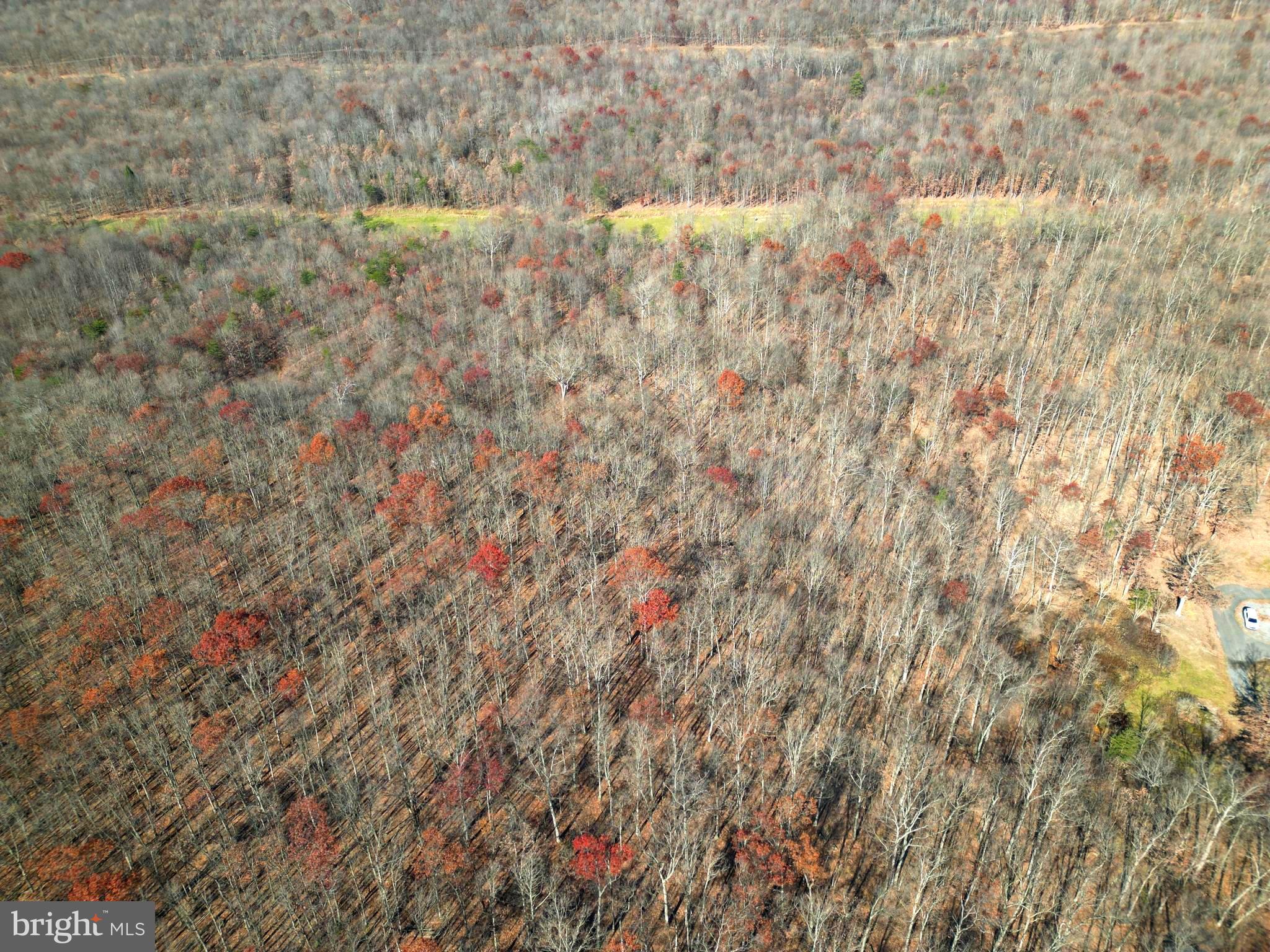 Rocky Ridge Road Rawlings, MD 21557 - Photo 22 of 22 I can see the possibilities here, can't you?