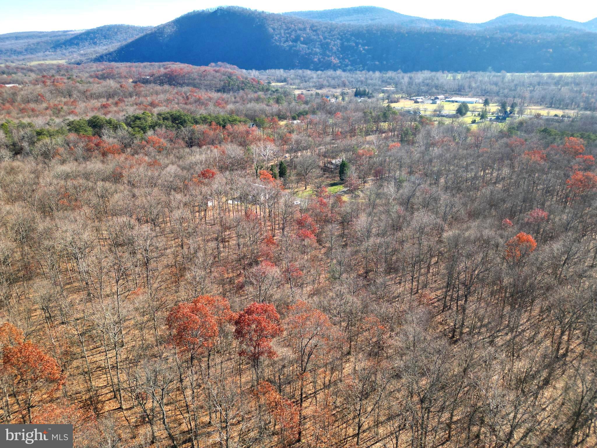 Rocky Ridge Road Rawlings, MD 21557 - Photo 3 of 22 Leaves have fallen but look how beautiful it is