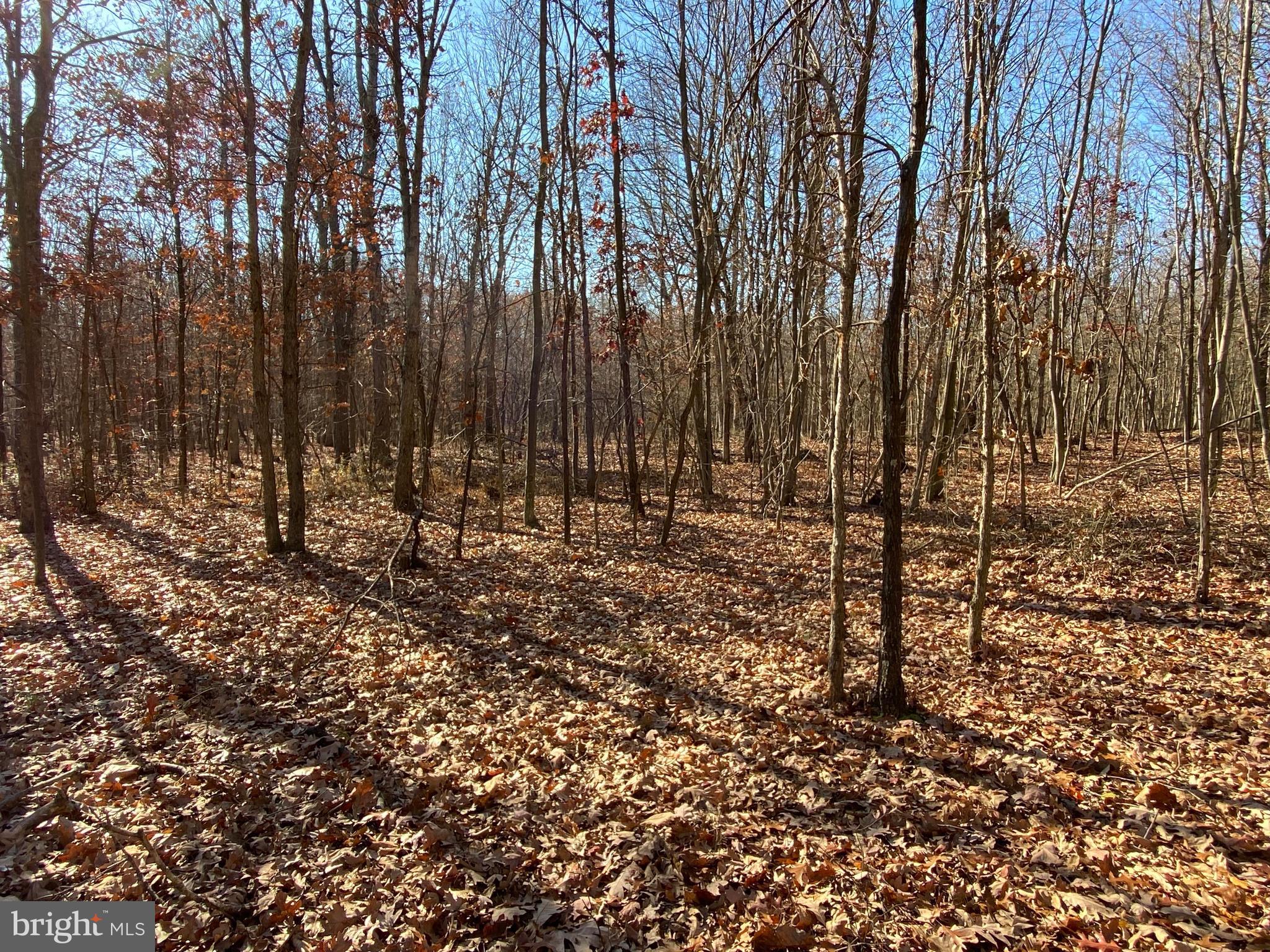 Rocky Ridge Road Rawlings, MD 21557 - Photo 8 of 22 The perfect hideaway nestled off the road.