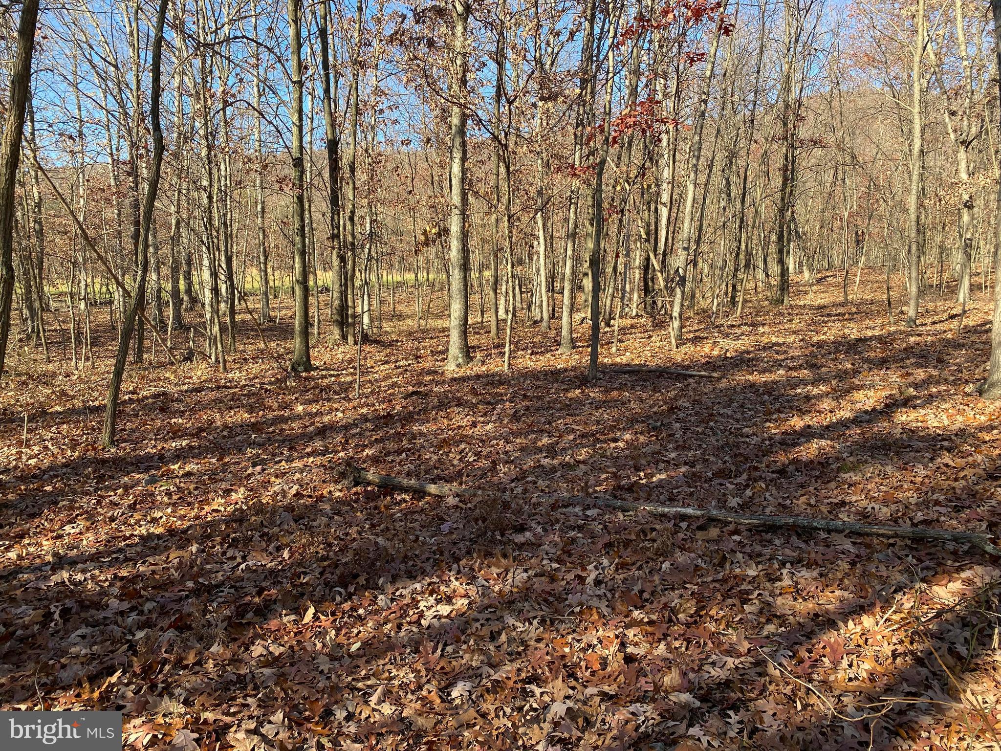 Rocky Ridge Road Rawlings, MD 21557 - Photo 10 of 22 Gallery Image 10