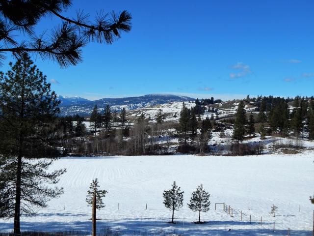651 Highland Loop Road Kettle Falls, WA 99141 - Photo 2 of 20 Gallery Image 2