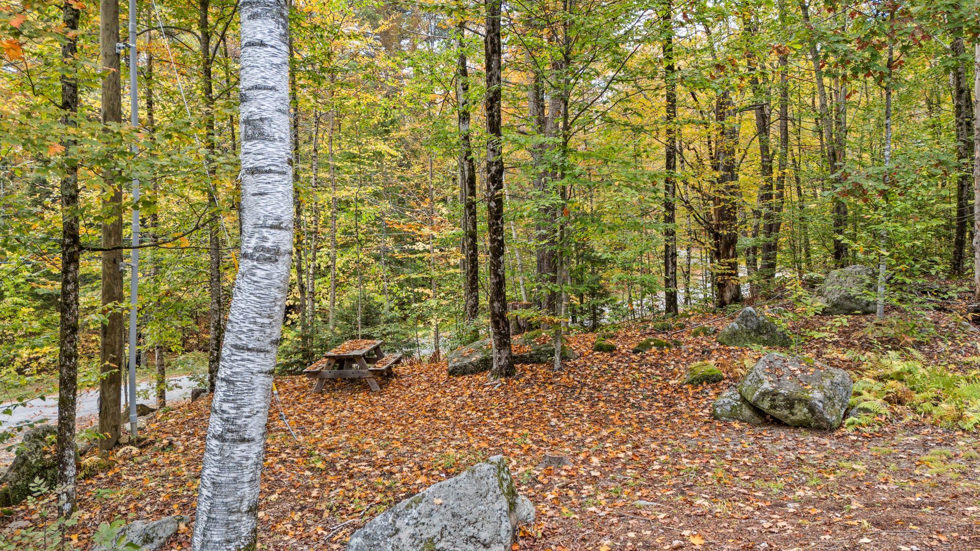 6 Anderson Pond Road Grantham, NH 03753 - Photo 29 of 31