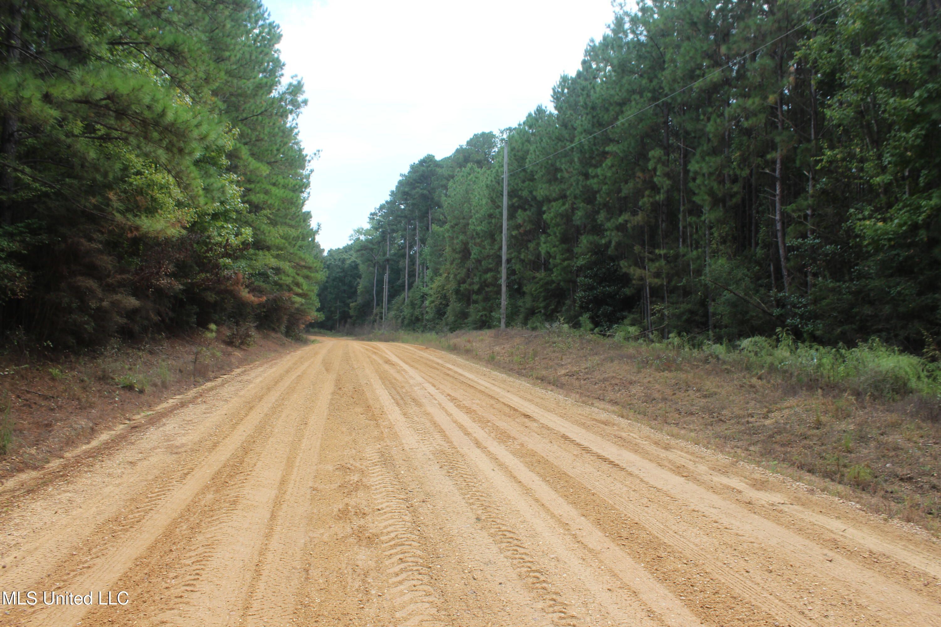 Tbd Fox Road Gloster, MS 39638 - Photo 7 of 20 40 ac New Hope Rd & Fox Rd (2)