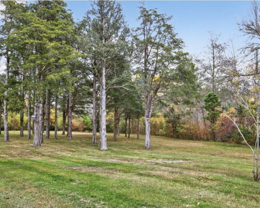 25 Whig Street Dennis, MA 02638 - Photo 6 of 8 a view of park