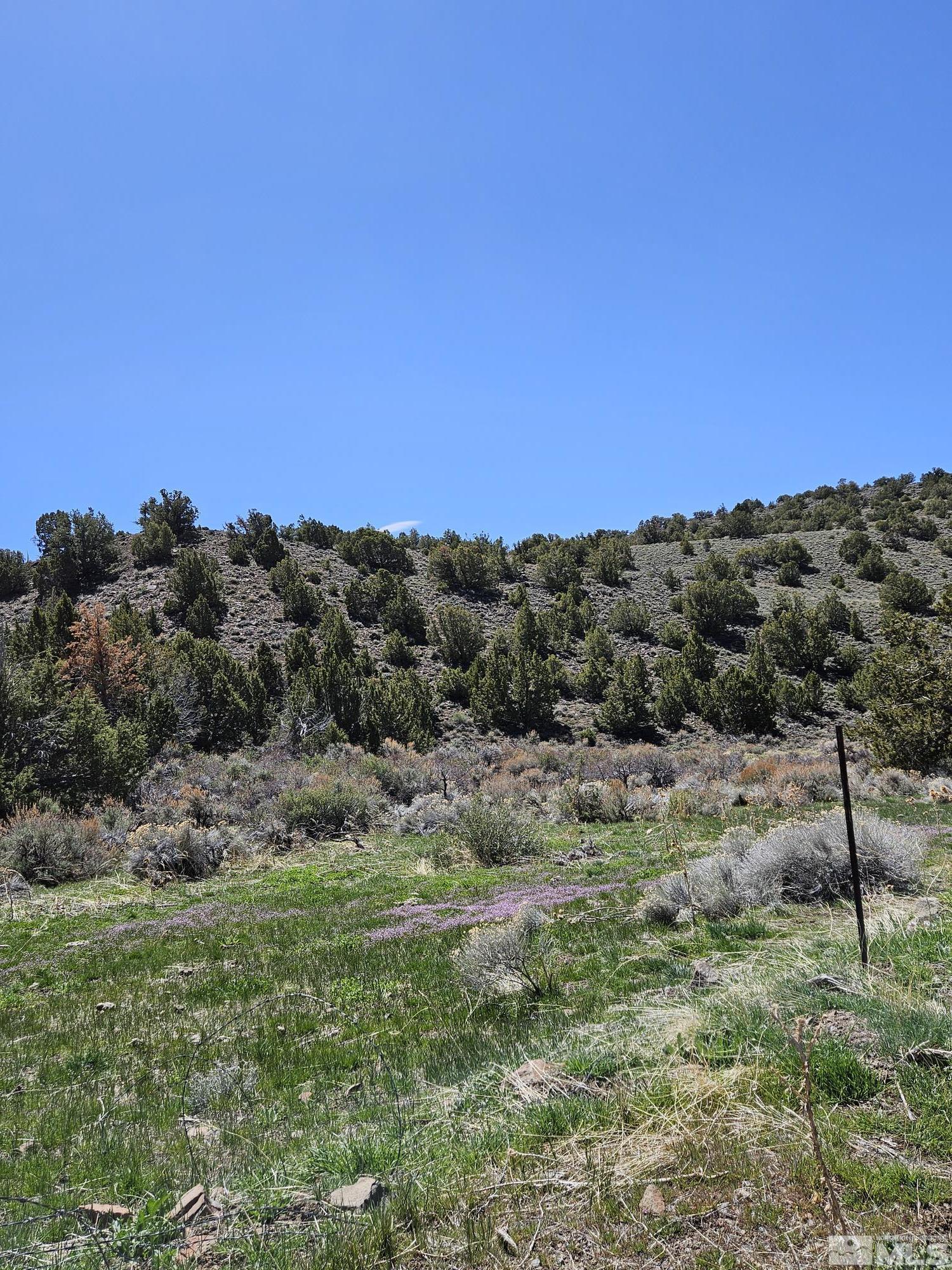 0 Wilcox Ranch Road, Unit 43 Reno, NV 89510 - Photo 8 of 8 Photo 8