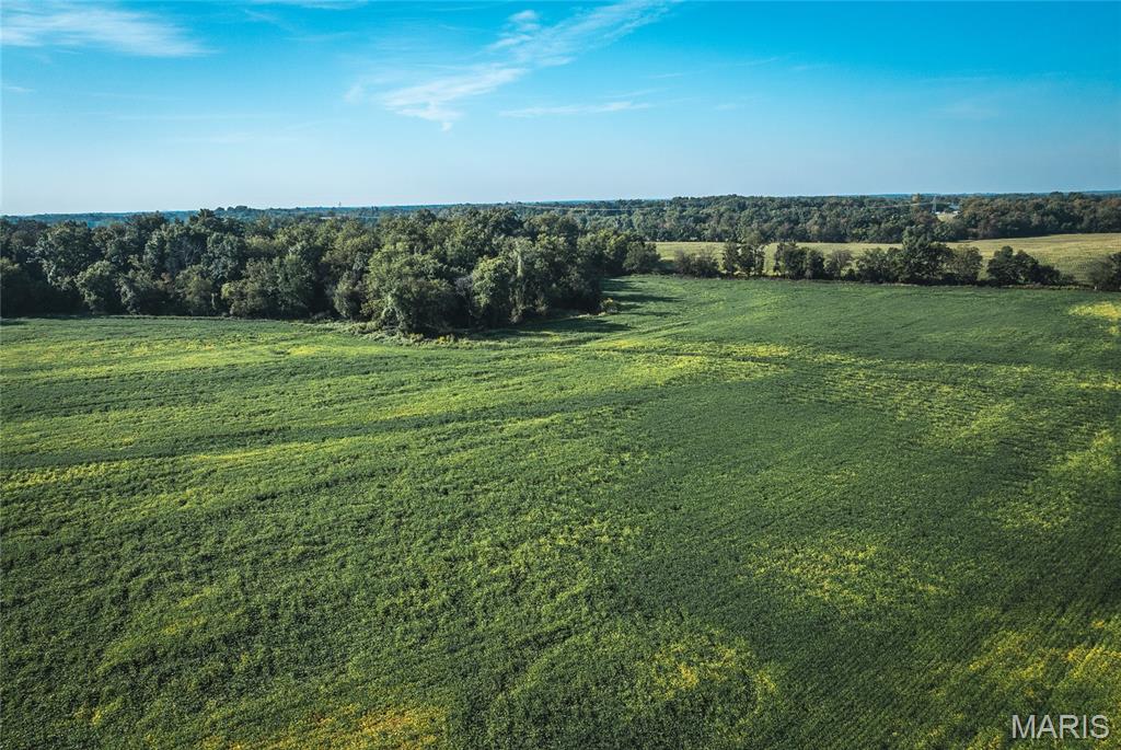 0 Etling Road Millstadt, IL 62260 - Photo 11 of 34