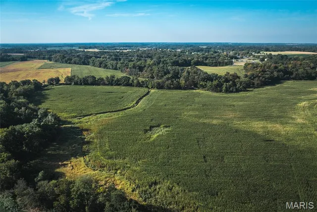 $1 | 0 Etling Road, Millstadt, IL 62260