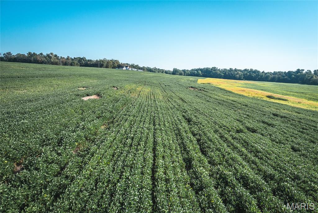 0 Etling Road Millstadt, IL 62260 - Photo 15 of 34