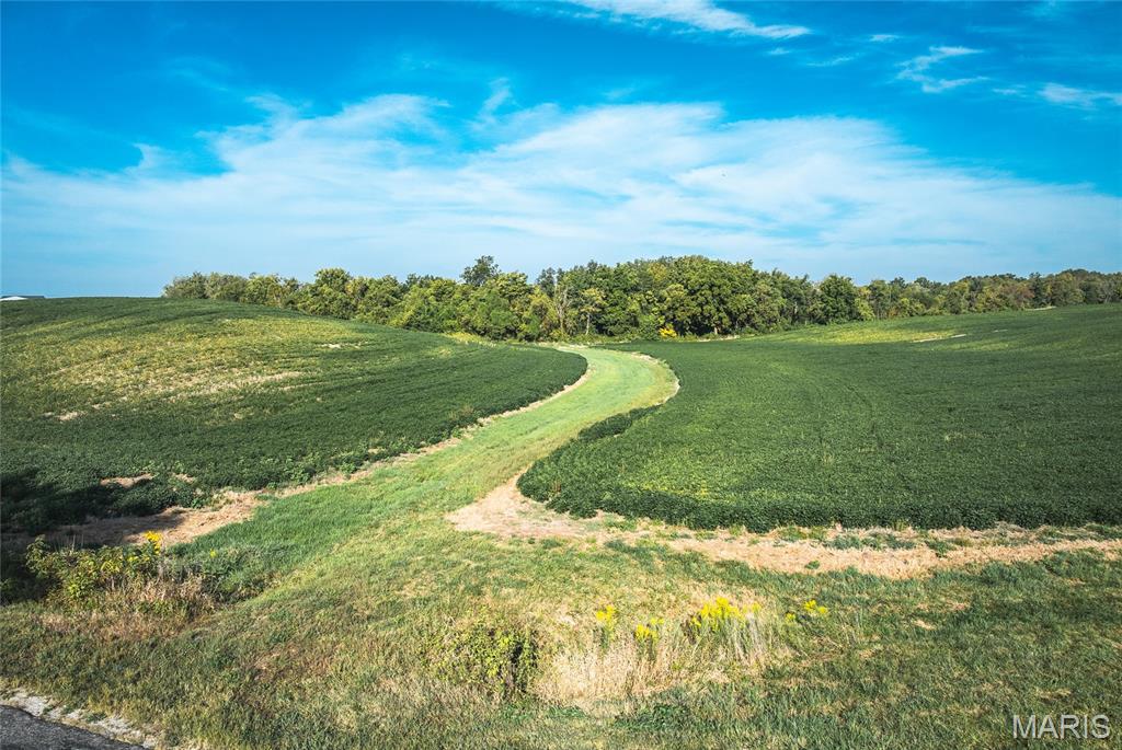 0 Etling Road Millstadt, IL 62260 - Photo 17 of 34