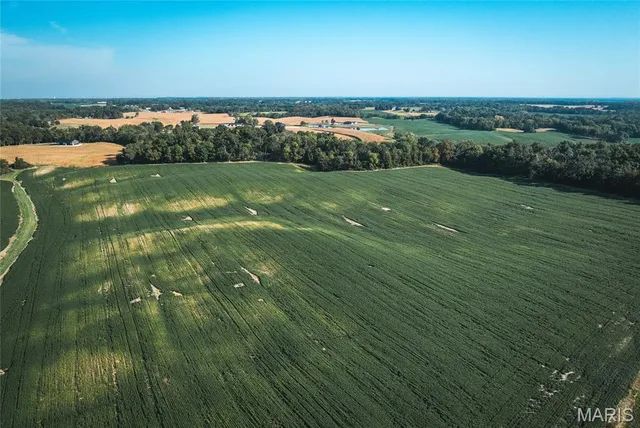 $1 | 0 Etling Road, Millstadt, IL 62260