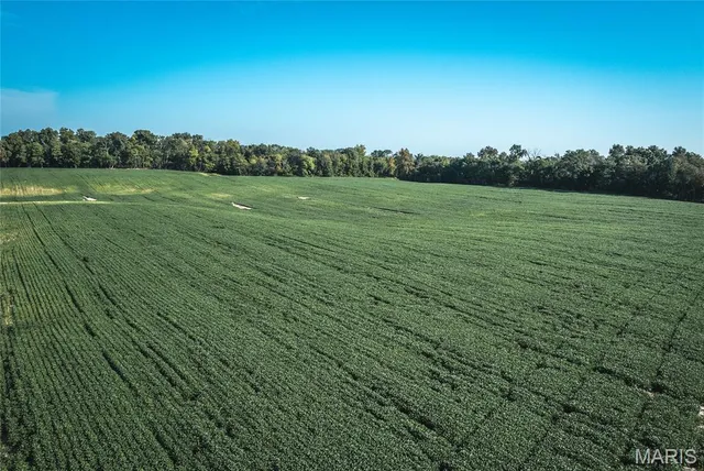 $1 | 0 Etling Road, Millstadt, IL 62260