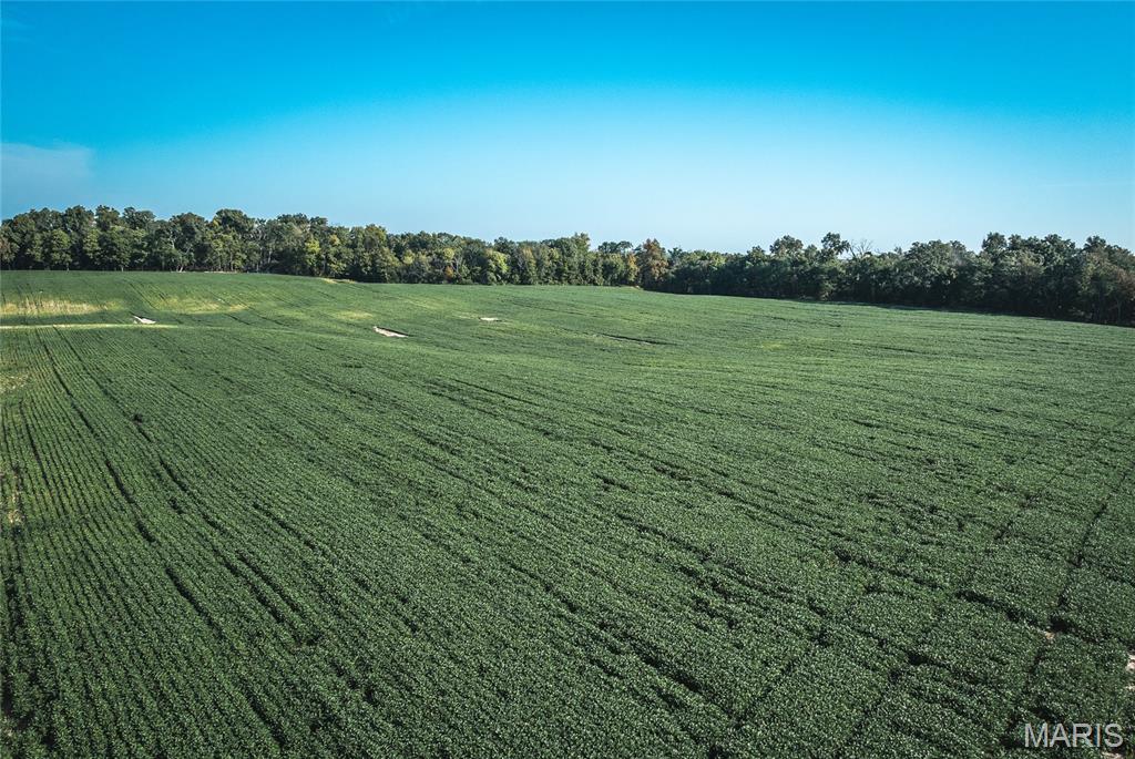 0 Etling Road Millstadt, IL 62260 - Photo 22 of 34