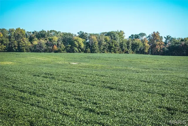 $1 | 0 Etling Road, Millstadt, IL 62260