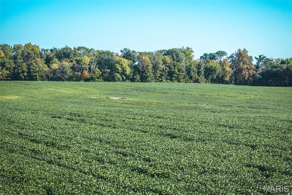 0 Etling Road Millstadt, IL 62260 - Photo 23 of 34