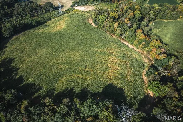 $1 | 0 Etling Road, Millstadt, IL 62260