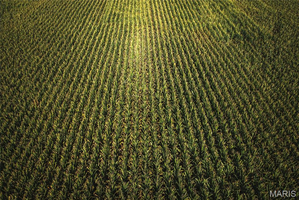 0 Etling Road Millstadt, IL 62260 - Photo 34 of 34