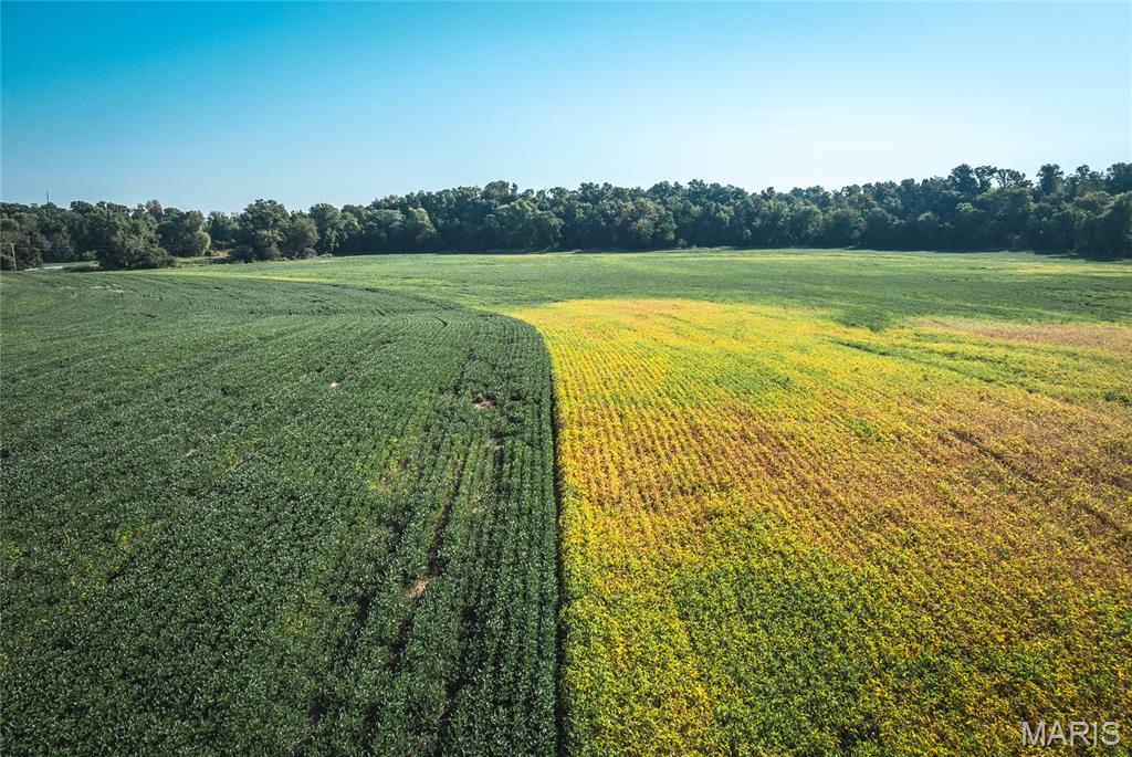 0 Etling Road Millstadt, IL 62260 - Photo 4 of 34