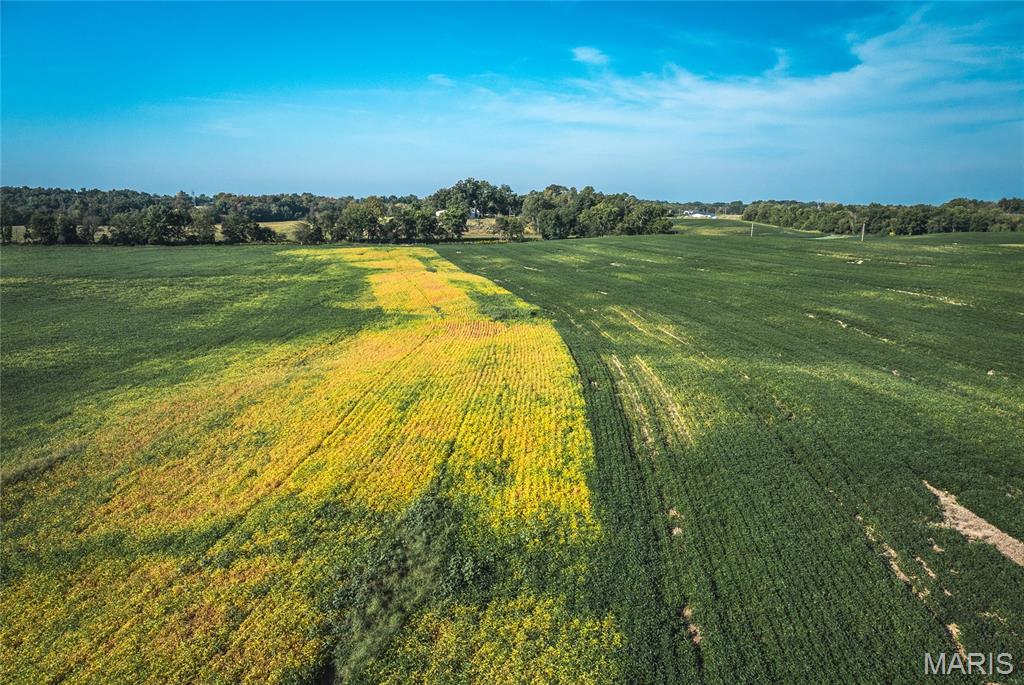 0 Etling Road Millstadt, IL 62260 - Photo 10 of 34