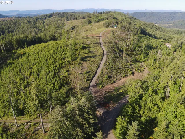 a view of mountain with trees in the background