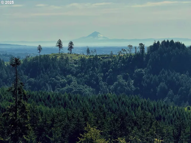 $799,900 | 11880 Dupee Valley Road, Sheridan, OR 97378