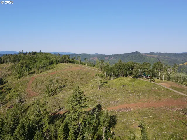 a view of a green field with lots of bushes