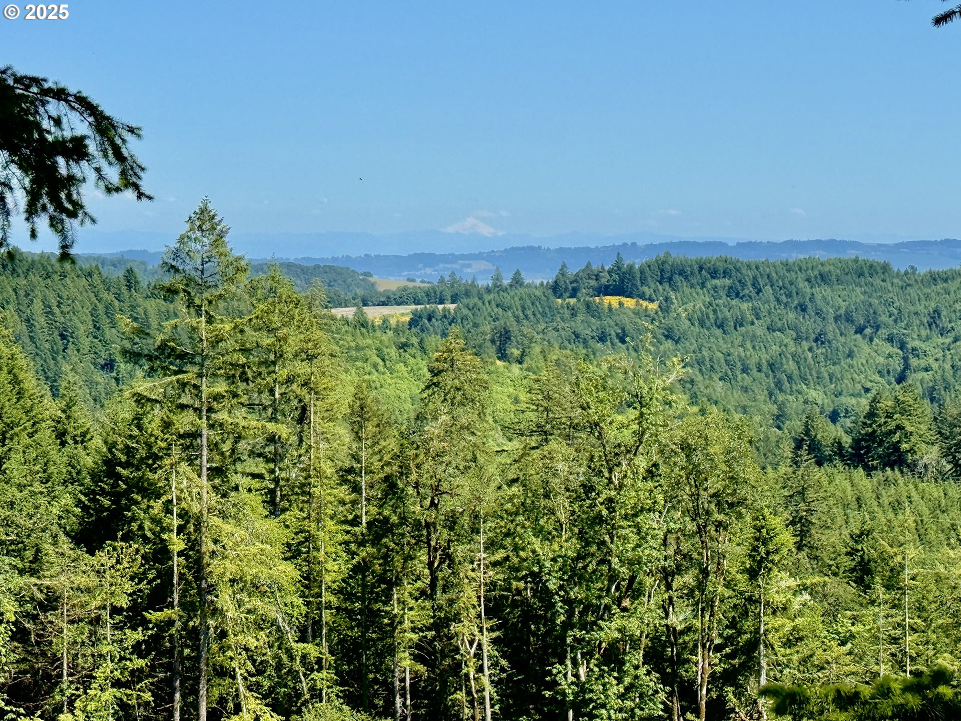 11880 Dupee Valley Road Sheridan, OR 97378 - Photo 40 of 46