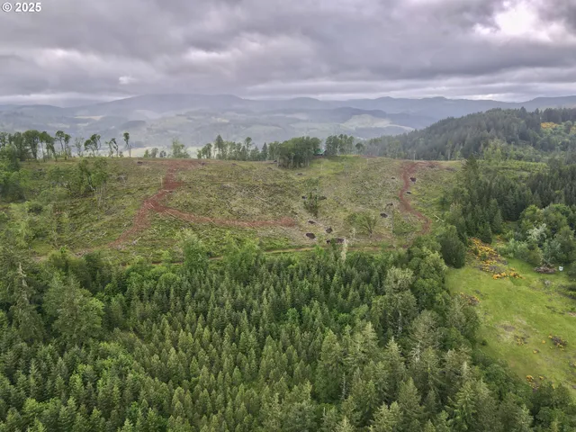 a view of a yard with plants