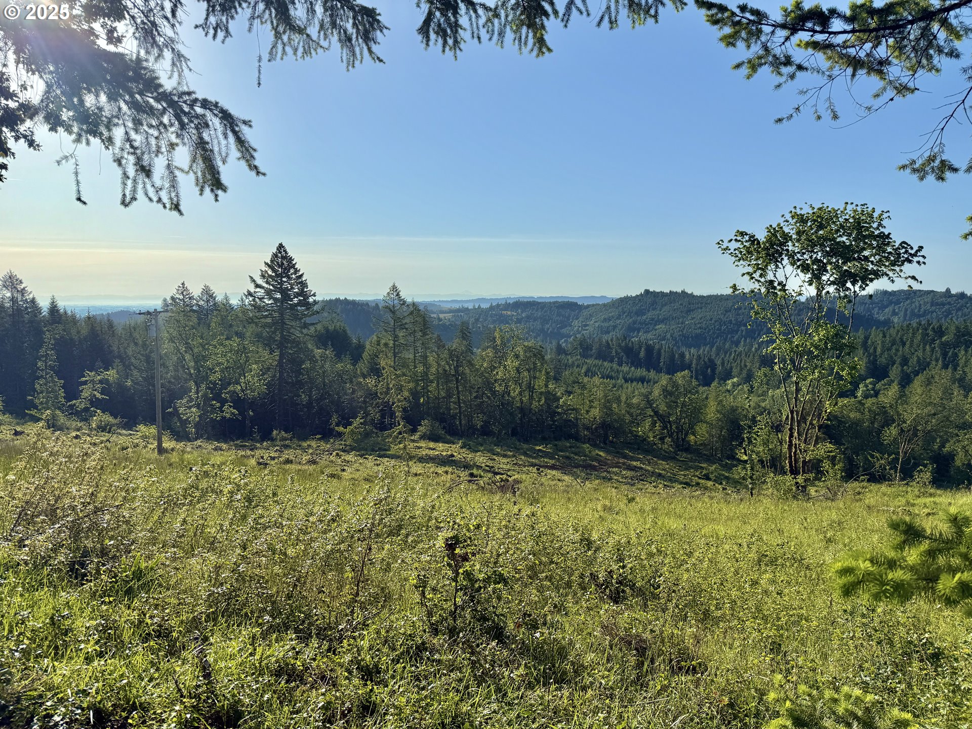 11880 Dupee Valley Road Sheridan, OR 97378 - Photo 42 of 46