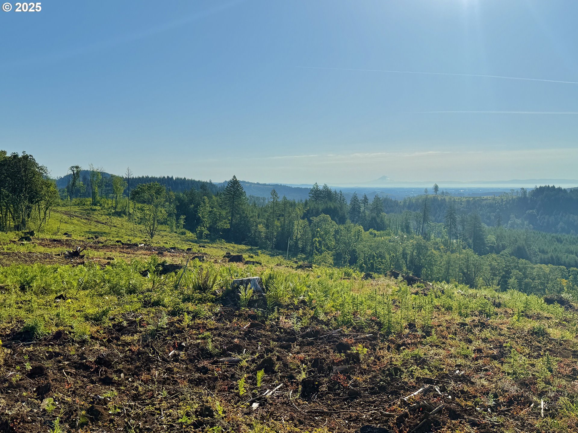 11880 Dupee Valley Road Sheridan, OR 97378 - Photo 44 of 46