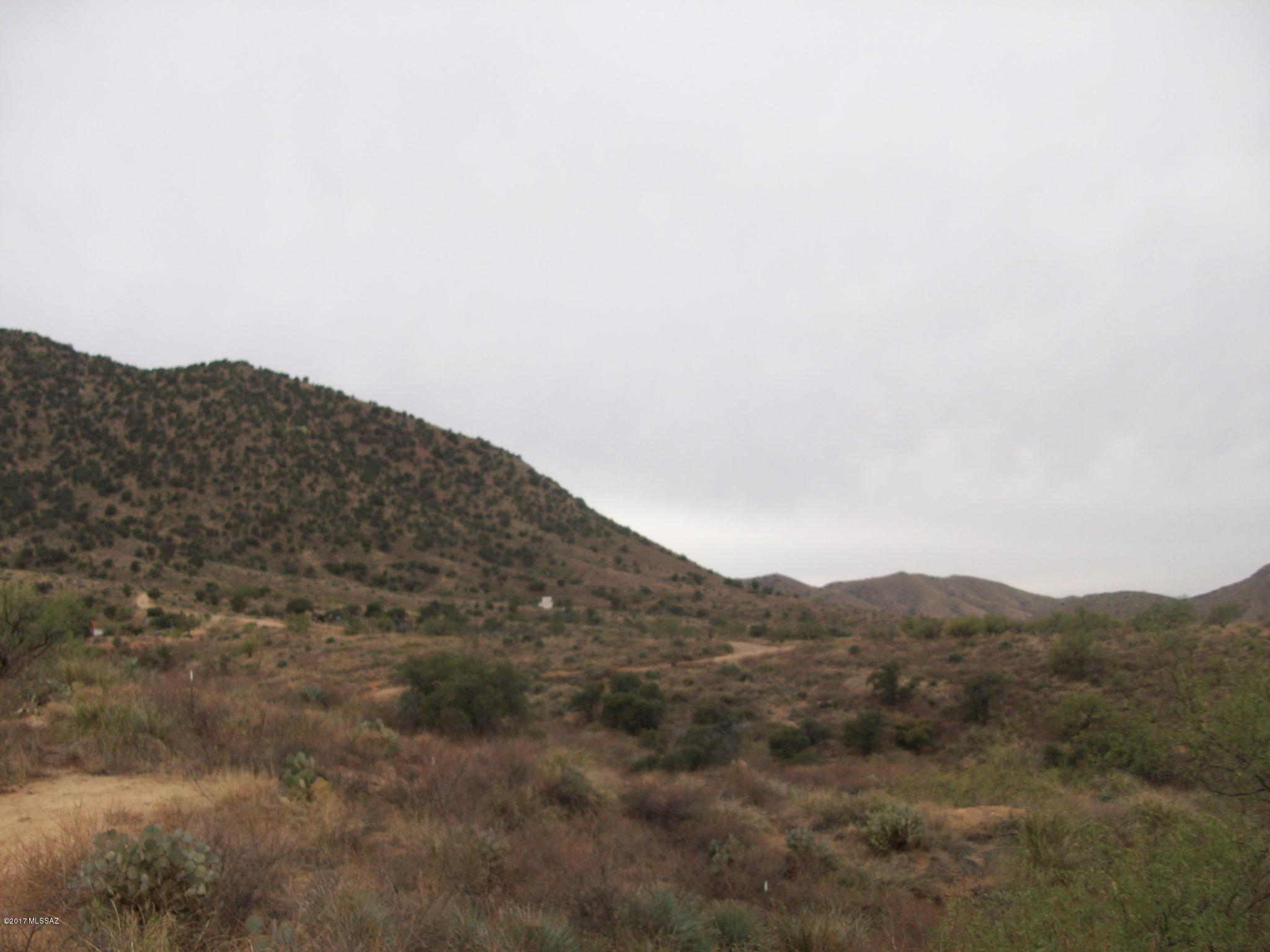 0 West Indian Pipe Road Tucson, AZ 85736 - Photo 1 of 3