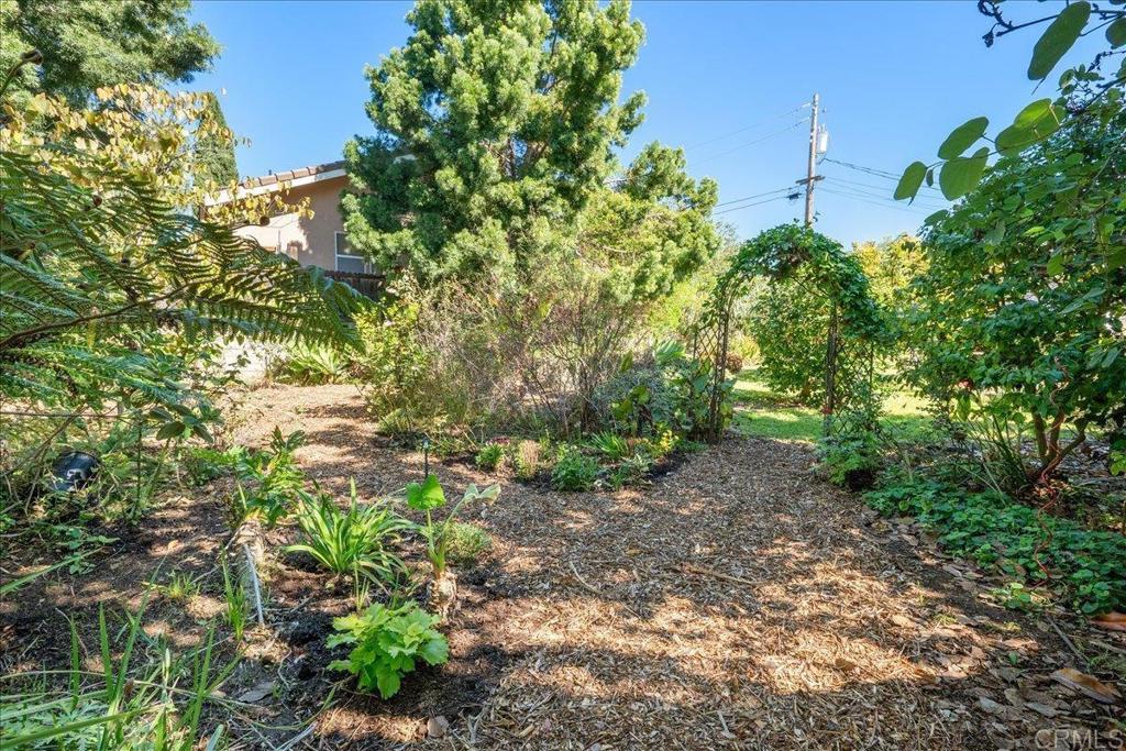 485 Wax Flower Lane Fallbrook, CA 92028 - Photo 27 of 31 a backyard of a house with lots of green space