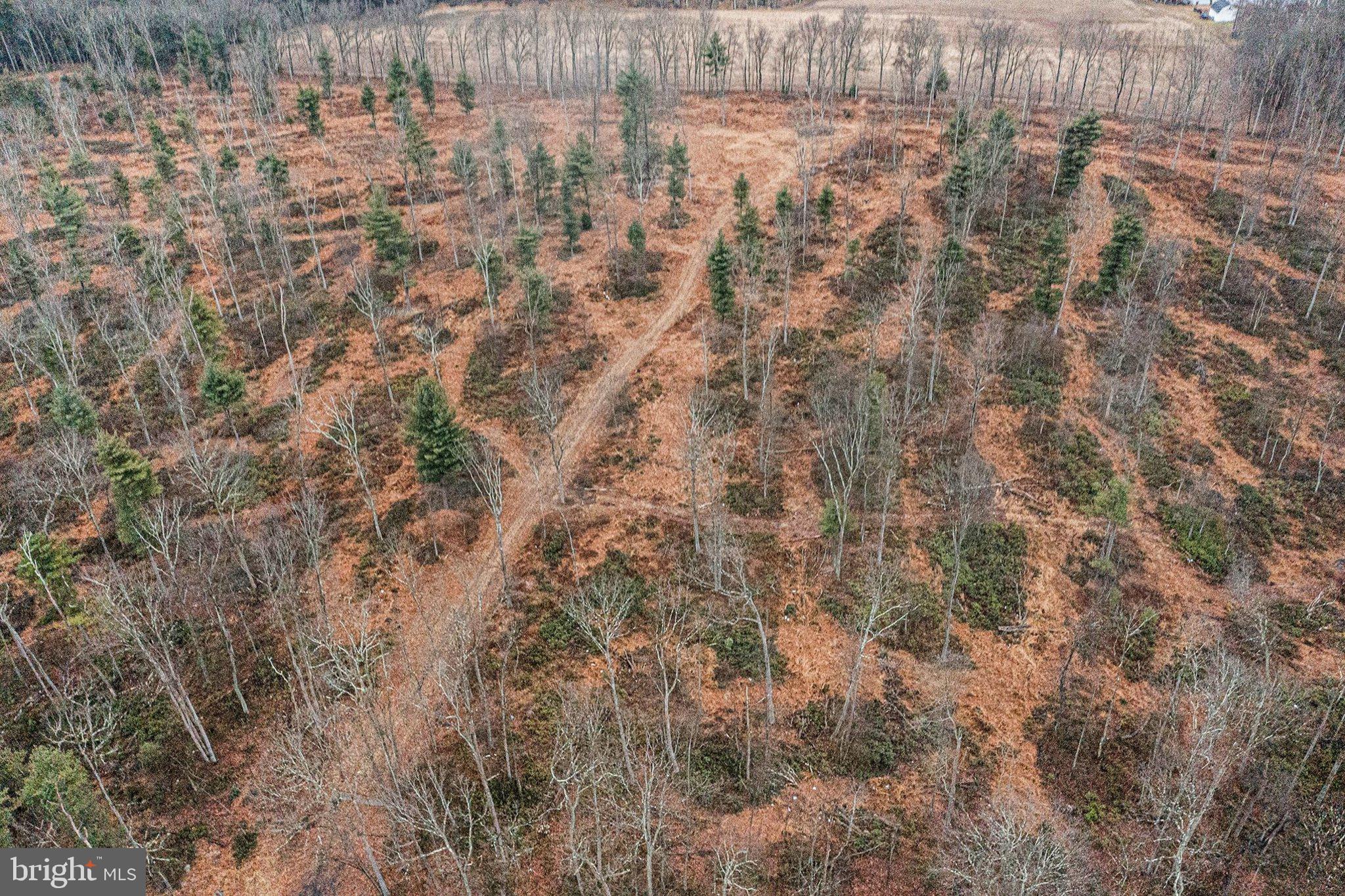 Lot 3 Back Road South Barnesville, PA 18214 - Photo 5 of 7