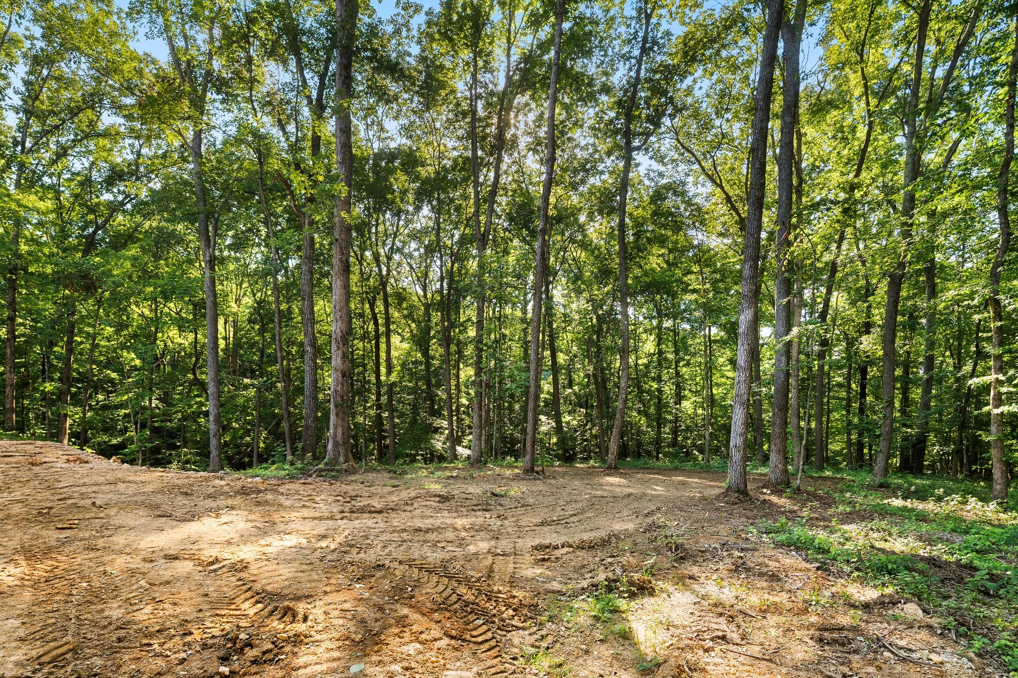 5900 Pinewood Road Franklin, TN 37064 - Photo 52 of 54