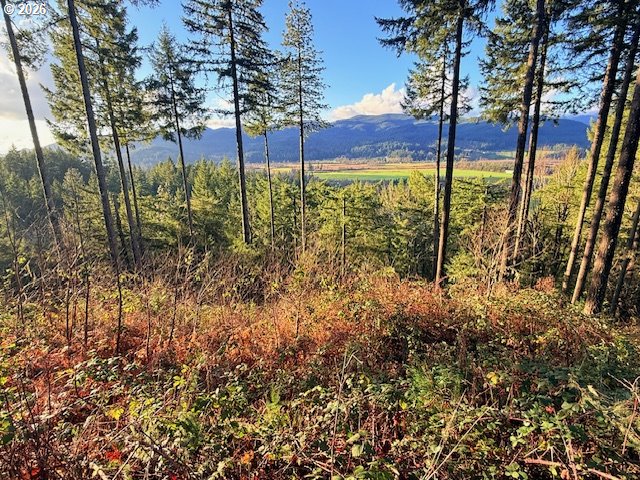 Alder Branch Road Springfield, OR 97478 - Photo 11 of 20 a view of an trees in a yard