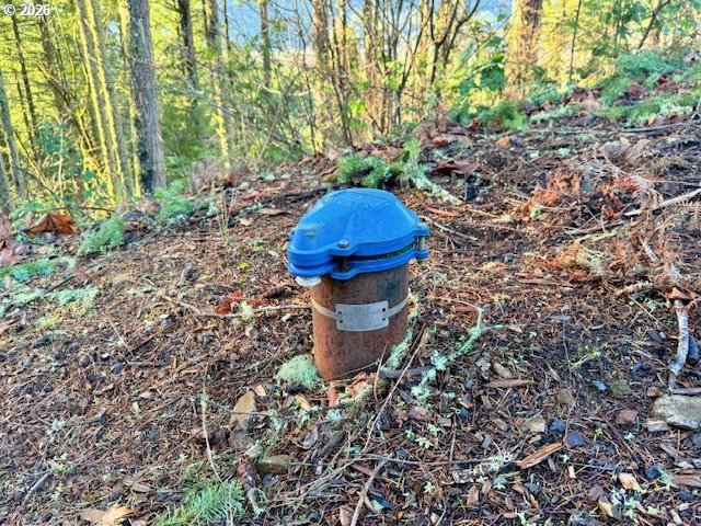 Alder Branch Road Springfield, OR 97478 - Photo 14 of 20 a fire hydrant in the middle of a forest