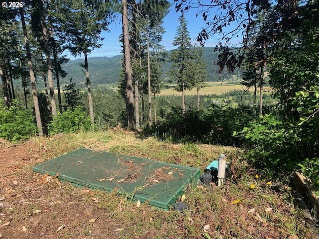 Alder Branch Road Springfield, OR 97478 - Photo 16 of 20 a view of back yard of the house