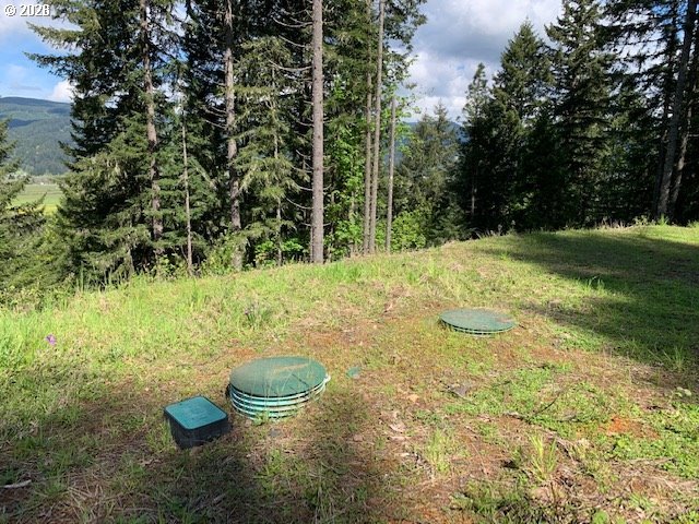 Alder Branch Road Springfield, OR 97478 - Photo 17 of 20 a backyard of a house with lots of green space