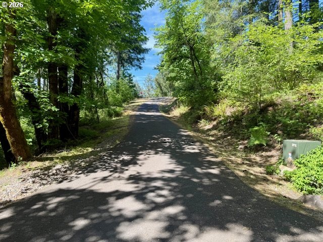 Alder Branch Road Springfield, OR 97478 - Photo 18 of 20 a view of a street with a trees