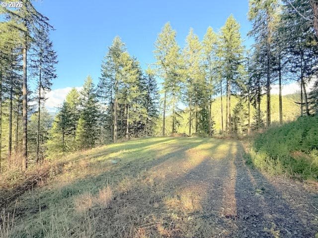 Alder Branch Road Springfield, OR 97478 - Photo 20 of 20 a view of a yard with trees