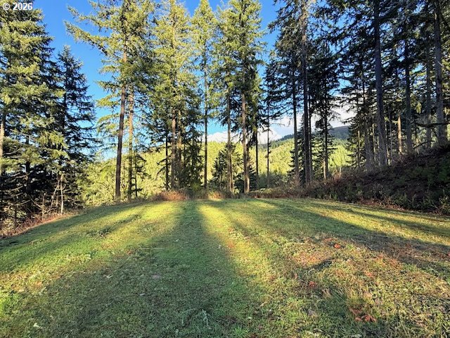 Alder Branch Road Springfield, OR 97478 - Photo 3 of 20 a view of yard with swimming pool and trees