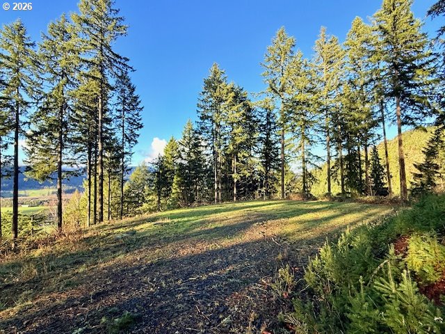 Alder Branch Road Springfield, OR 97478 - Photo 5 of 20 a yard with lots of green space and trees
