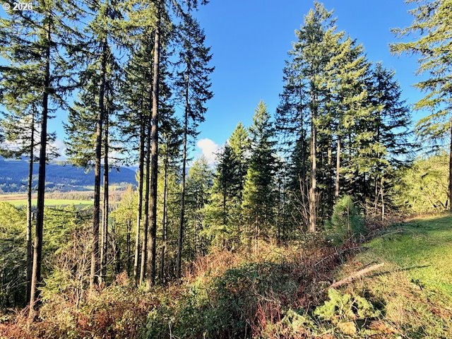 Alder Branch Road Springfield, OR 97478 - Photo 10 of 20 a view of lake from a yard